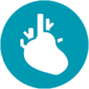 heart treatments apollo hospitals