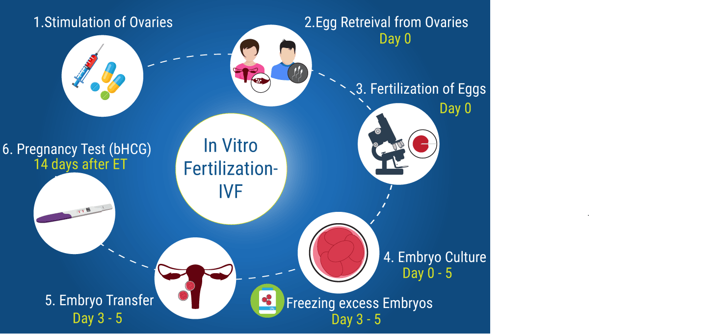 Best IVF hospital centre in Delhi Chennai Mumbai