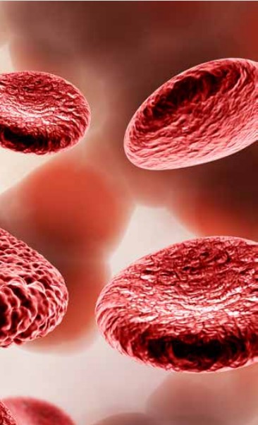 What are the signs of blood diseases in children?